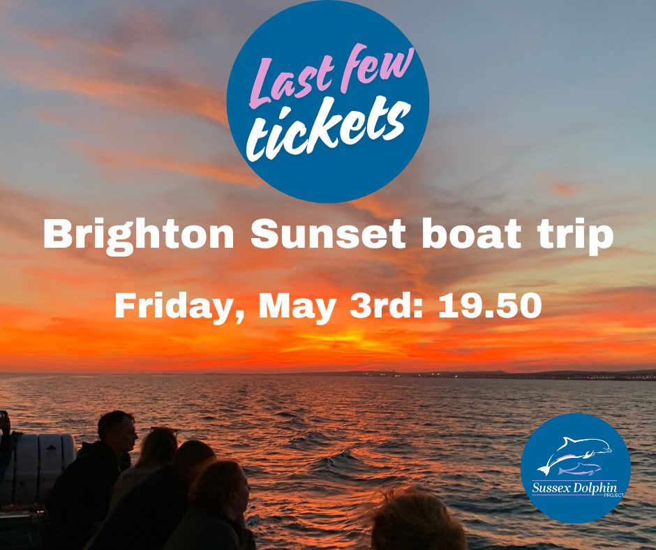 There are only a few tickets remaining for Friday’s (May 3rd) #Brighton sunset wildlife boat trip, which leaves Brighton Marina at 19:50. 🌅🛥️ Book here: sussexdolphinproject.org/sunset-wildlif… Adults: £27 Children (under 16): £18 #sussex