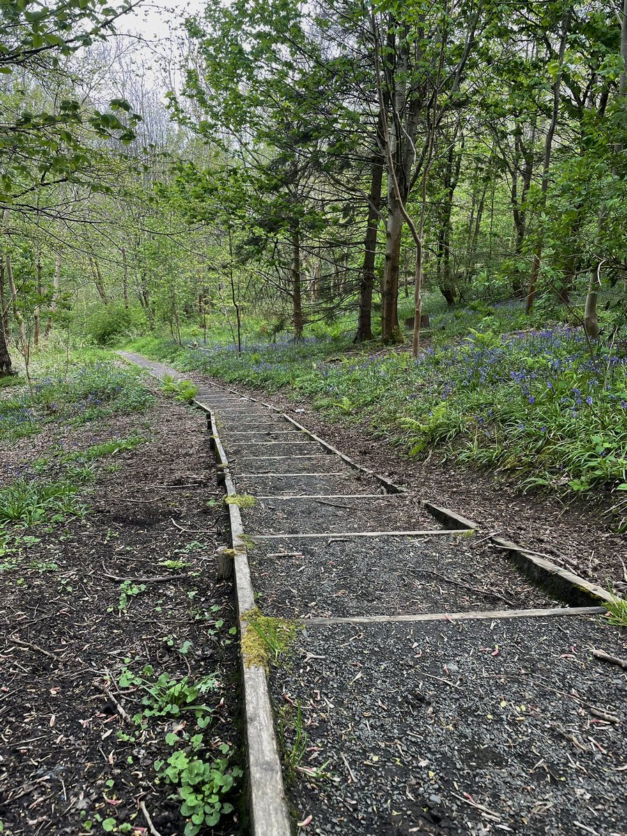 Friends of Castlemilk Park tweet media
