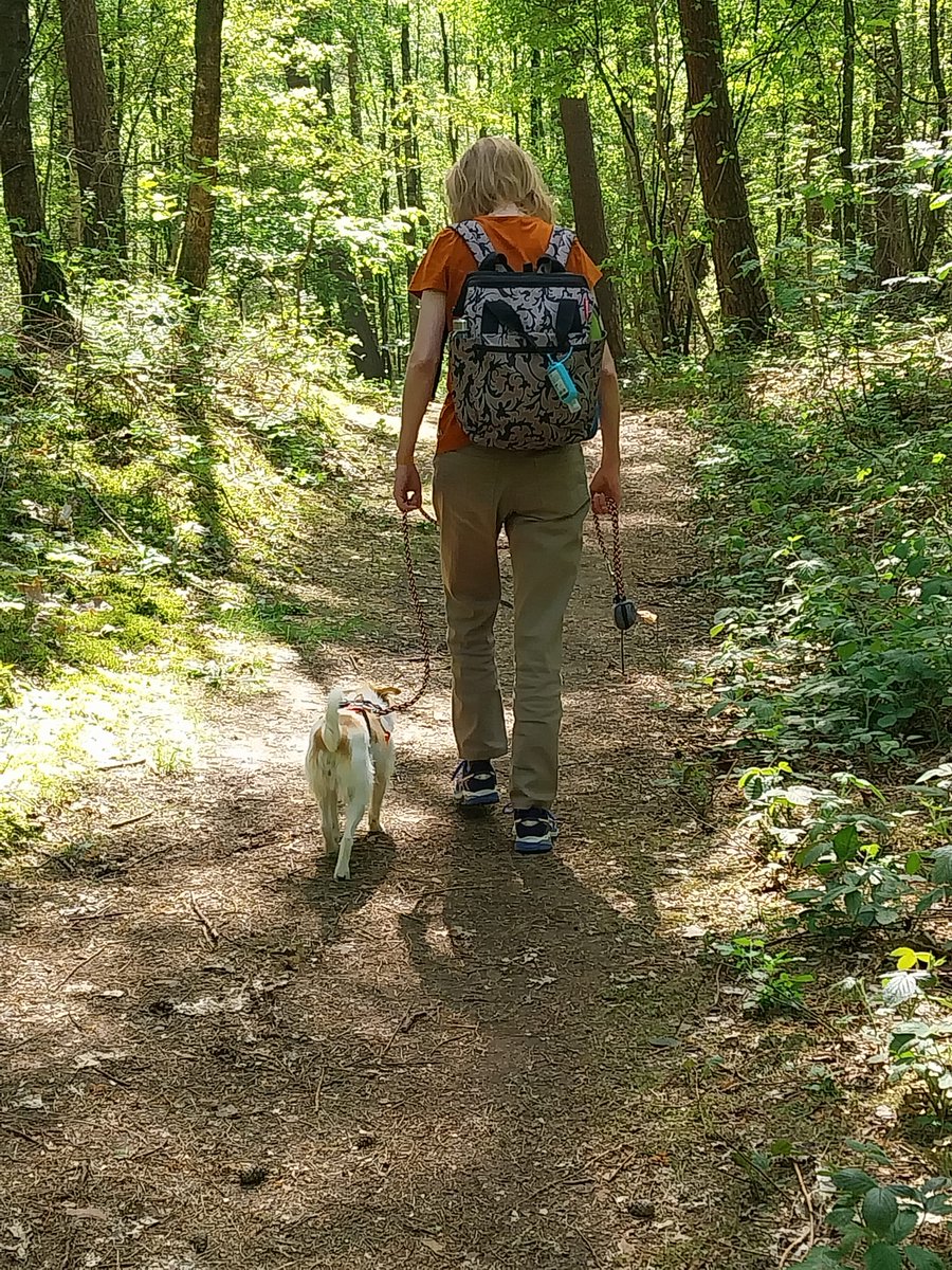 Hallo ins #Twitterrudel!
Feiertagsschlender im Wald und die Rute kommt immer öfters hoch.