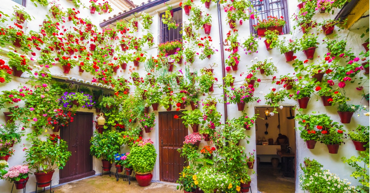 #Cordoba is all set with a floral welcome 💐 at its Courtyards Festival! 🥳 Lose yourself in flower-filled courtyards, live flamenco performances, & heavenly tapas, all infused with the scents of jasmine & orange blossom.🥰

👉 tinyurl.com/3285dwja

#VisitSpain #SpainEvents