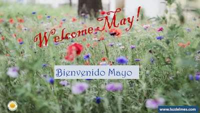 Welcome May! 🌷 ¡Bienvenido Mayo! Reflection and Poems on the blog LuzDelMes 👉luzdelmes.blogspot.com/2024/04/welcom… #May 🌷#LuzDelMes ✨