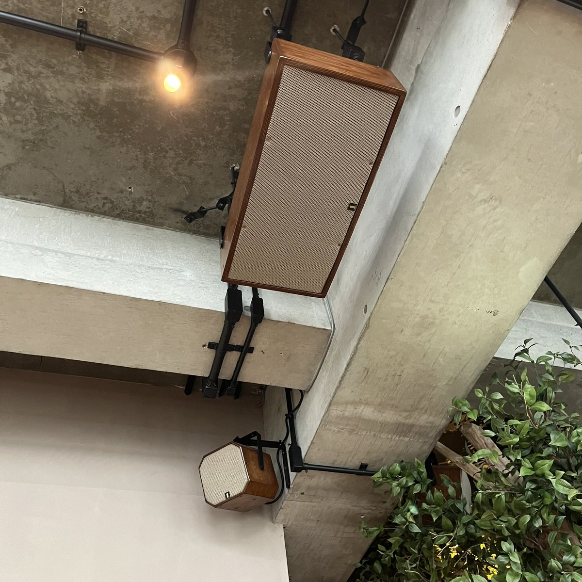 eastaudioのtocci tweet media