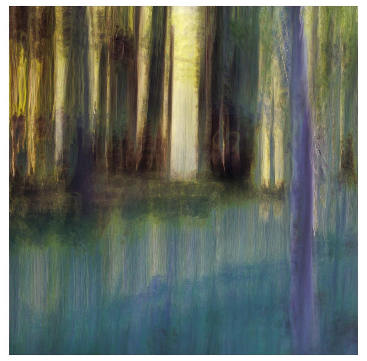 A painterly image of woodland in the evening, captured by Instagrammer elizabethhockney3 

#sheclicksnet #femalephotographers #women #photography #femalephotographer #landscapephotography #naturephotography #woodland #trees #evening #icm #multipleexposure #blended #painterly