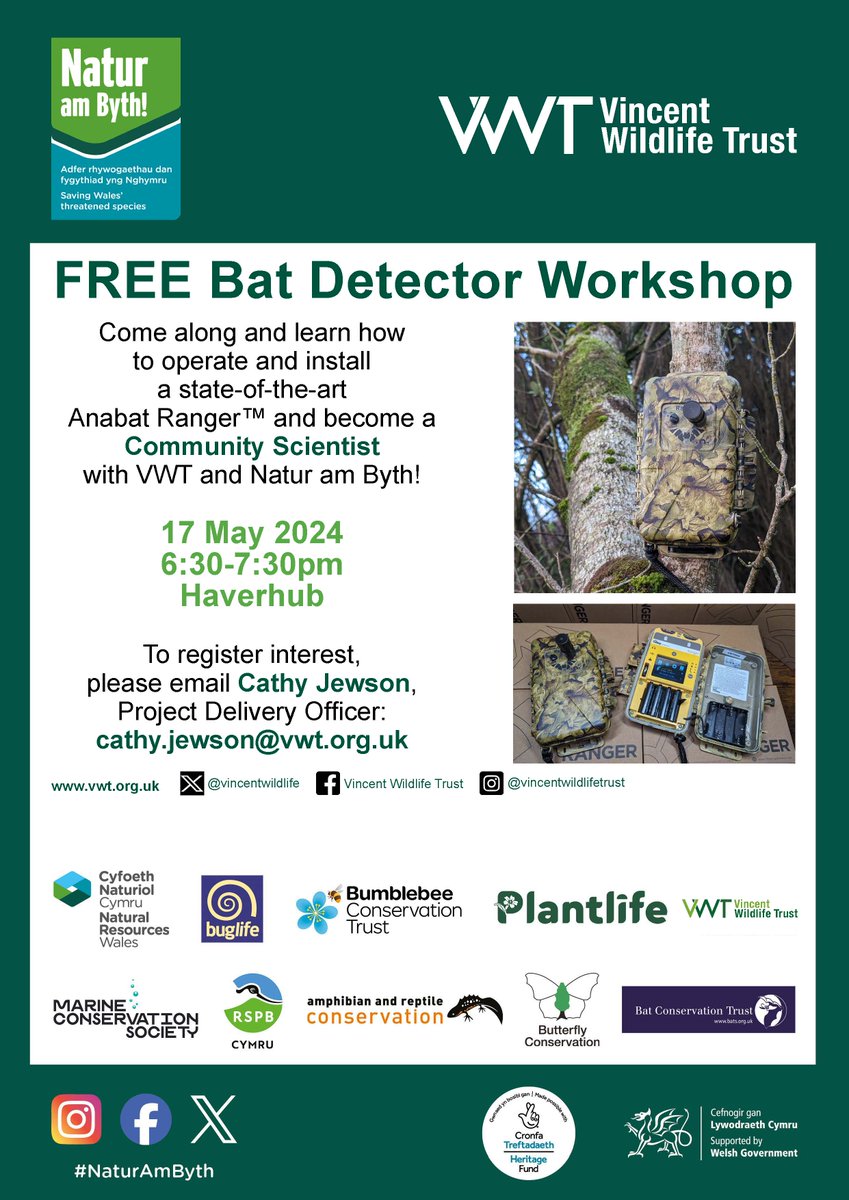 Want to be a #Community Scientist? FREE workshop at @Haverhub 6.30pm 17 May for Anabat detector training. Sign up as a Vol and borrow a detector for local woods — you may find us some barbastelles! @NaturAmByth! @HeritageFundCYM For info, email cathy.jewson@vwt.org.uk