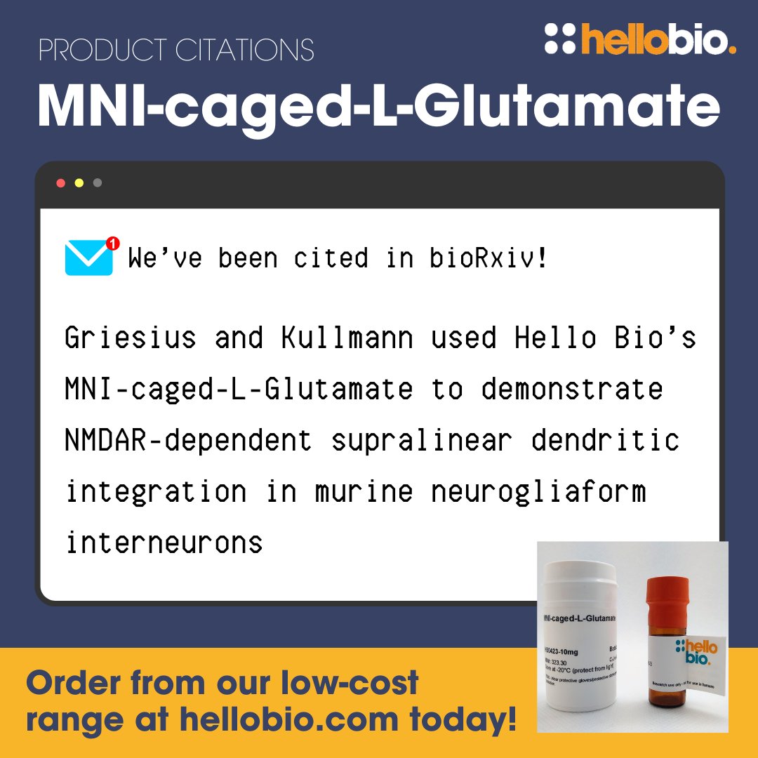 Our MNI-caged-L-Glutamate has been cited in bioRxiv! 🙌

@SimonGriesius & @Newrotrash used our product to demonstrate NMDAR-dependent supralinear dendritic integration in murine neurogliaform interneurons 🔬

Learn more: ow.ly/gqsF50RsmGB

#glutamate #labsupplies #lifesci