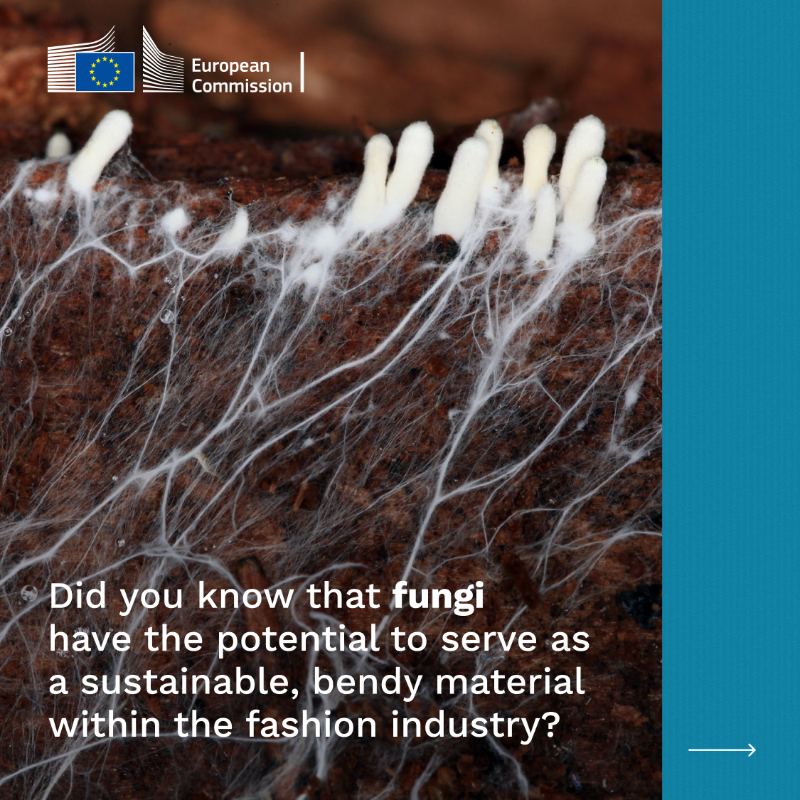 HorizonMagEU's tweet photo. Nature’s threads: creating #clothes from the ground up.

 Learn how ➡️ https://t.co/PnMgQ7cdGa

 #ResearchImpactEU