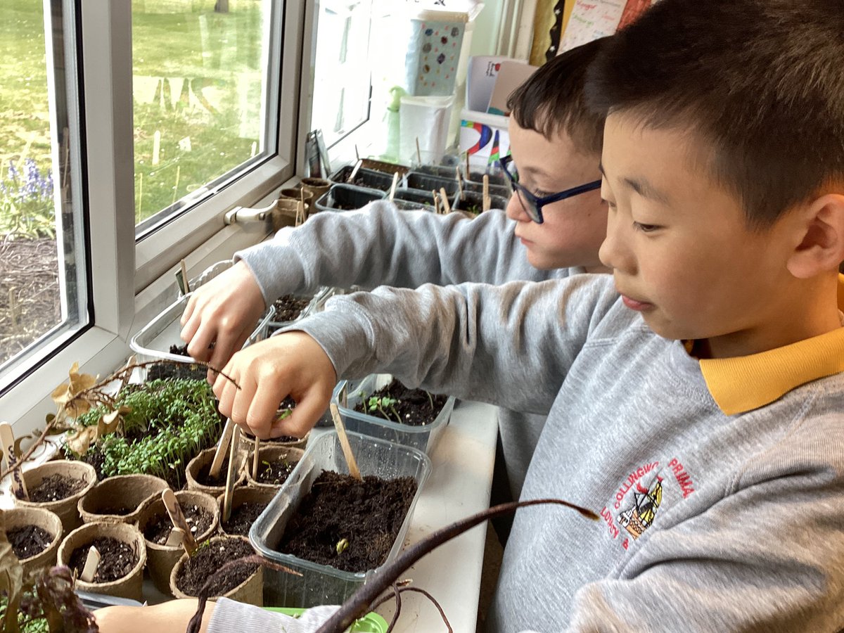 Some of our Eco Warriors have tried the first batch of cress that has sprouted 🌱 the verdict was that it was fresh, delicious and ‘like eating nature’. @NTynesideVODA