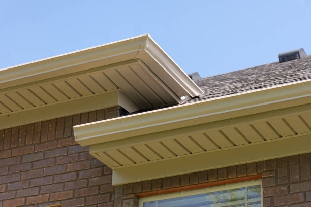 Did you know that fascia and soffits can also help improve your home's ventilation? Proper ventilation is essential for maintaining a healthy indoor environment and preventing mold growth.