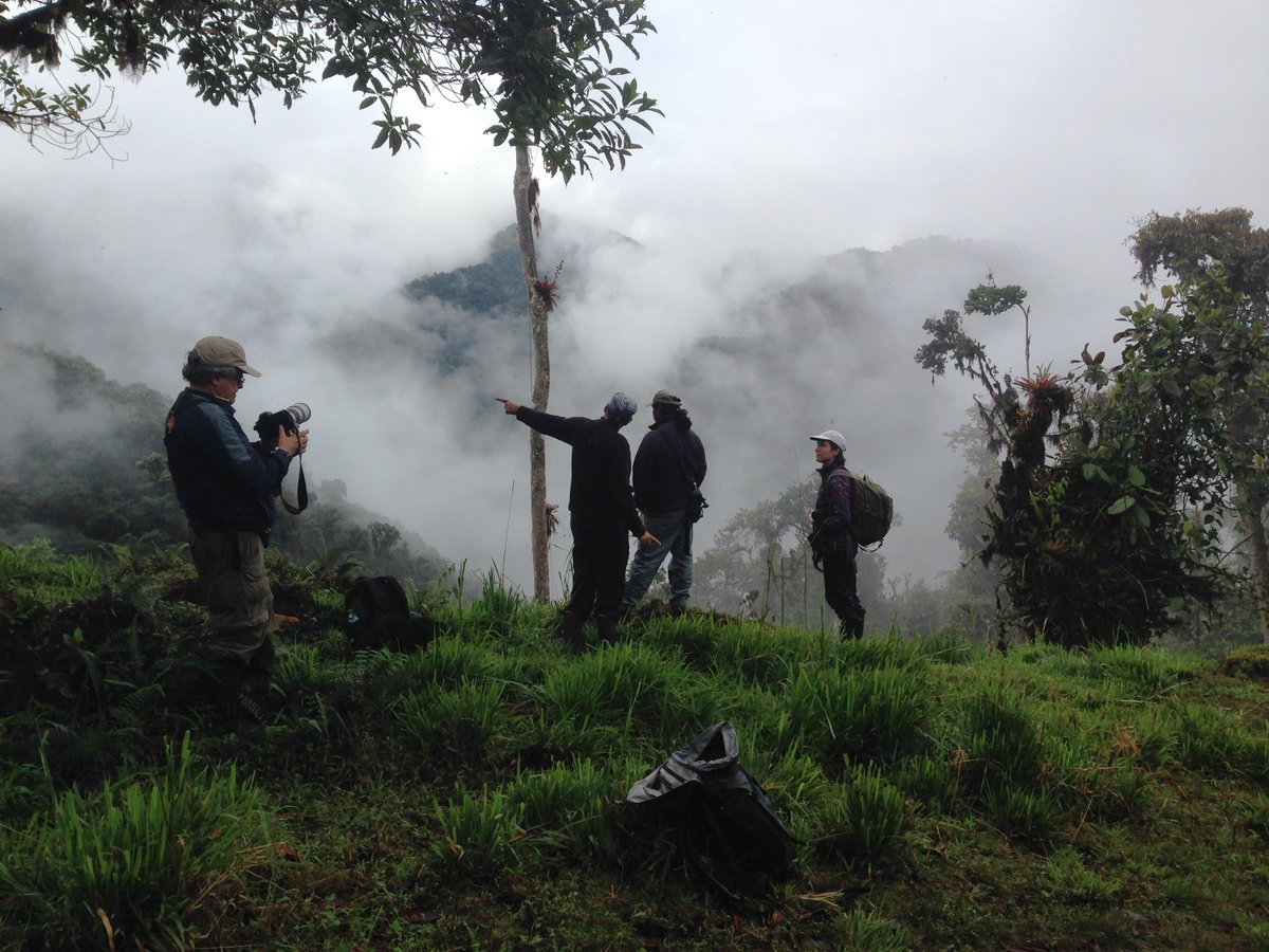 Job alert at Cornell University at the NY CRU closes 6/10! Directs research related to fish, wildlife, and ecological resources &amp; serves as graduate faculty member. Telework eligible and relocation expenses are authorized.  

usajobs.gov/job/789169900