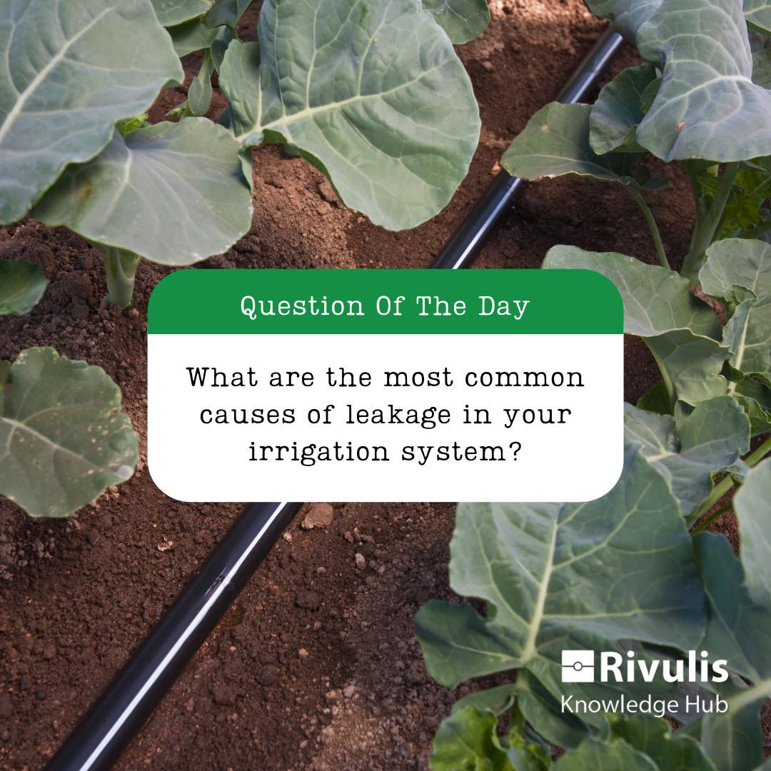 Comment below 👇👇 the 4 most common causes of leakage for your irrigation system.
If you're stuck, check out Knowledge Hub for a hint >> bit.ly/4aWBqYZ
#learningwithRivulis #KnowledgeHub #Rivulis #leakageprevention #irrigationsystem