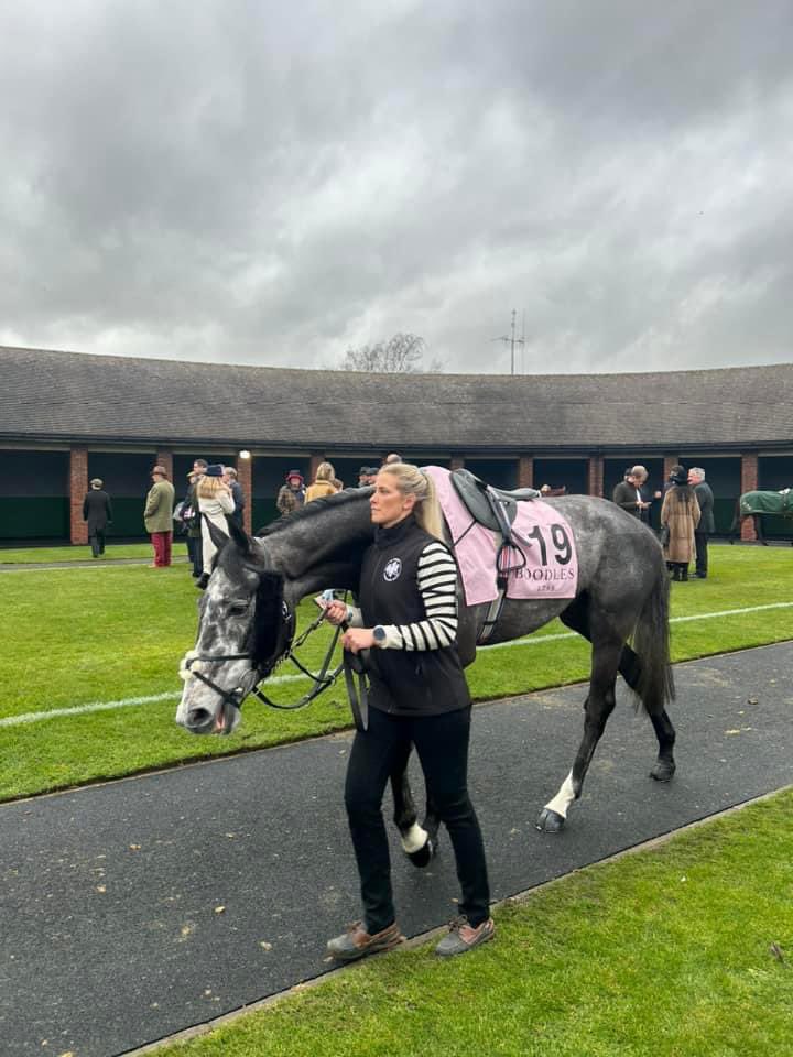 Harsh fourth in the Fred Winter at the #CheltenhamFestival wins very impressively at the #PunchestownFestival 🥇🐎