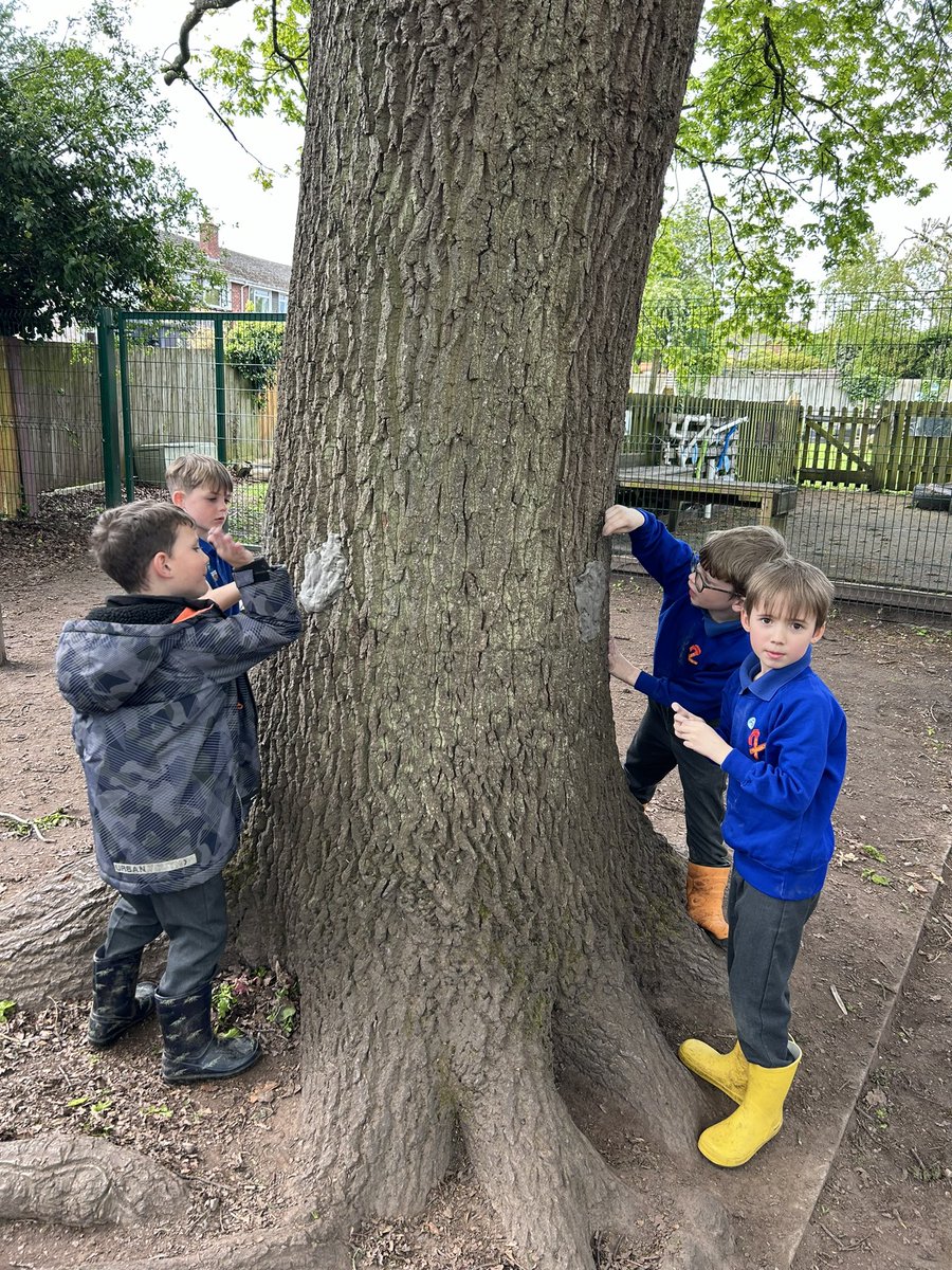 Dosbarth Penbryn have had a fantastic afternoon at Forest School! We have made animal and human faces using clay and natural resources #healthyconfidentindividuals #ambitiouscapablelearners