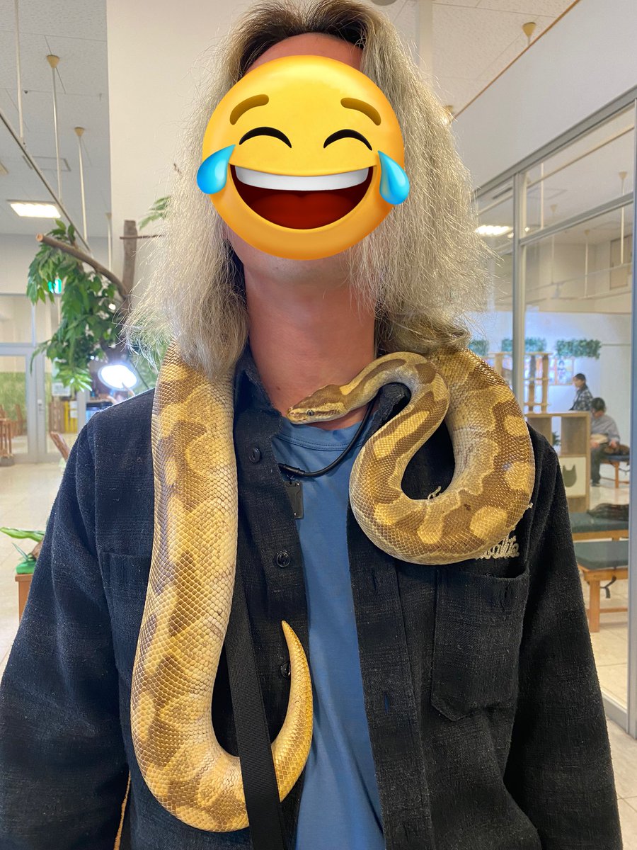 今日は印西のmoff animal worldに遊びに行ってきた✨
このシグマちゃんめっちゃかわいいから触れ合うのマジでオススメ‼️