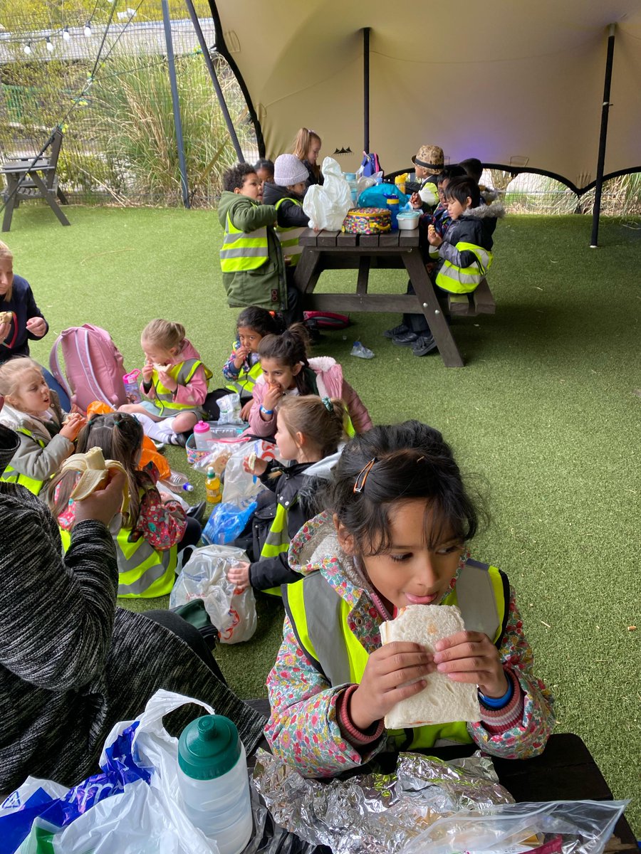 Reception had a super time @HertsZoo They couldn't believe all the exciting animals and dinosaurs they saw....🐯🦁🦓🐒🐺🐧🦕🦖