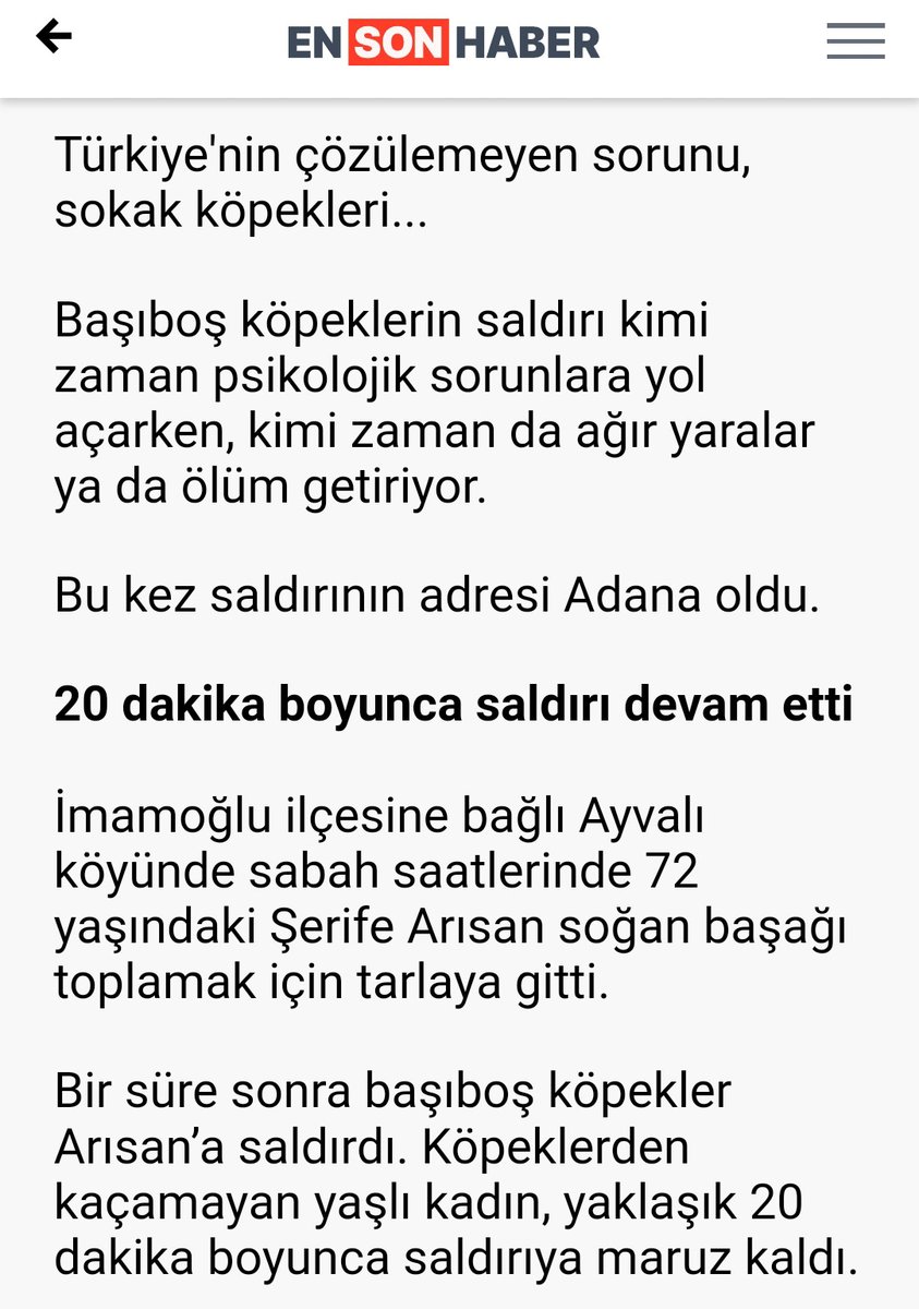 Lanet olsun yönetici diye başımıza dikilen soysuzlara! Hiç biriniz şu kadının bir tırnağı bile etmezsiniz. Köpekler zavallı kadını öldürene kadar 20 dakika boyunca parçalamışlar.