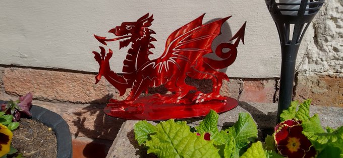 These free standing dragons are laser cut from 2mm mild steel, measure 8 inch wide by 5 1/2 tall and have a lovely iridescent finish (photos don't really do justice). £28 inc. p&p. Made to order please email cutandddraig@gmail.com cutandddraig.co.uk