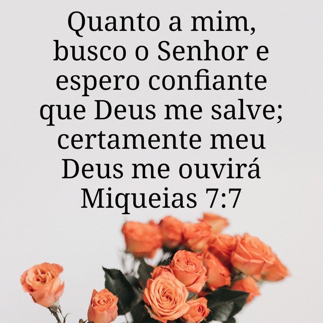 Miqueias 7:7 A21 Eu, porém, confiarei no Senhor; esperarei no Deus da minha salvação. O meu Deus me ouvirá.