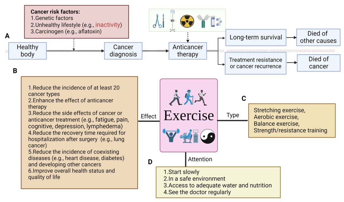 The Influence of Exercise on Cancer Risk, the Tumor Microenvironment and the Treatment of Cancer link.springer.com/article/10.100…