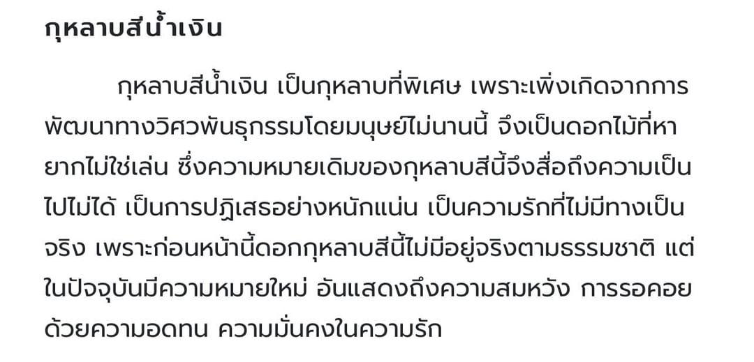 มีคนเขามาเฉลยความหมายกุหลาบสีน้ำเงิน ชอบ 4 บรรทัดสุดท้าย มันใช่! มันจริง! มันโดน!