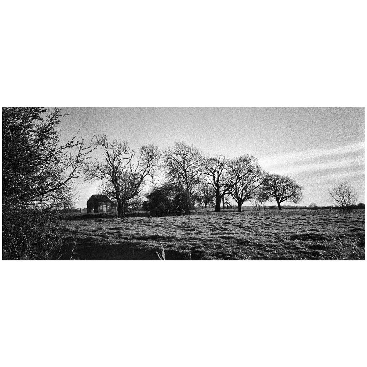 Winter Evening 
Olympus XA2 
#filmphotography #believeinfilm #trix400