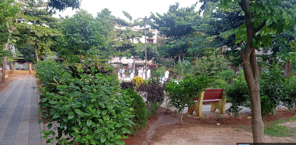 Urban greenery is alive and well in BMC parks.These lush spaces offer a refreshing escape from the city bustle. Perfect for a stroll, a jog, or just soaking in the scenery. #BhubaneswarFirst