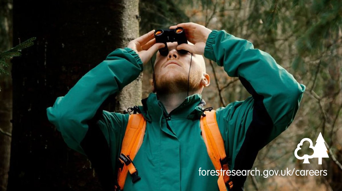 🔬 Join us at the forefront of tree science research. We are currently recruiting for the following roles ⤵ 🧬 Senior Scientist – Wood Properties 🐛 Scientist – Entomology Find out more and apply online: forestresearch.gov.uk/about-us/caree… #ResearchJobs #NatureLovers #ApplyNow