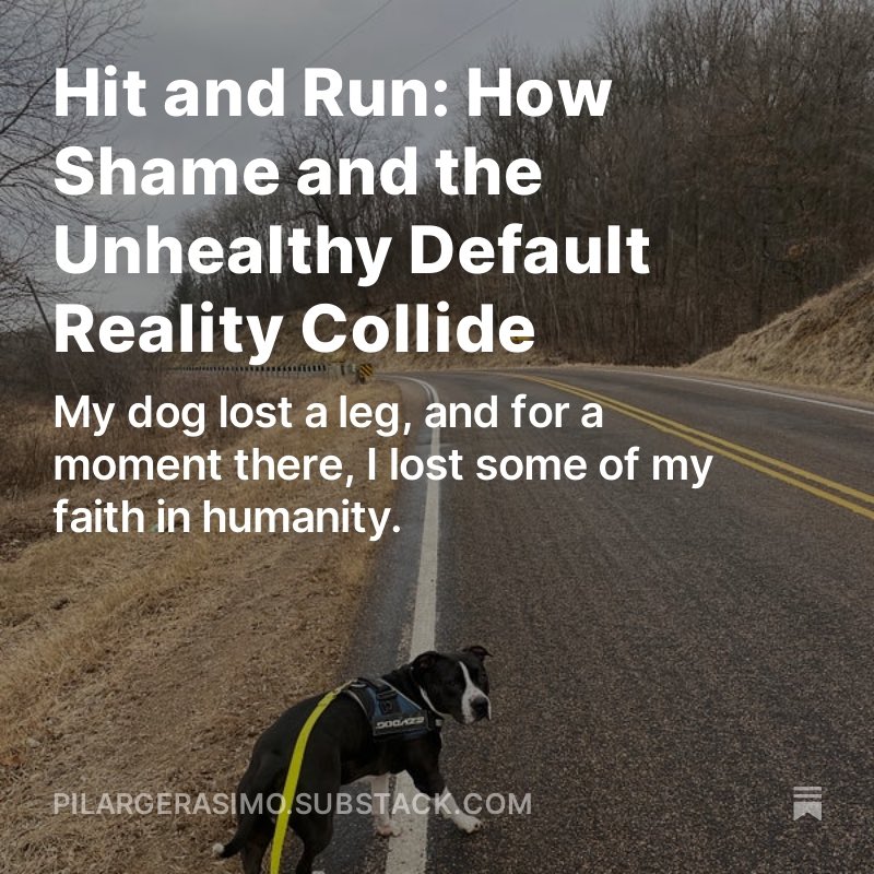 Thoughts on a tragic encounter I am still sorting ... pilargerasimo.substack.com/p/hit-and-run-…