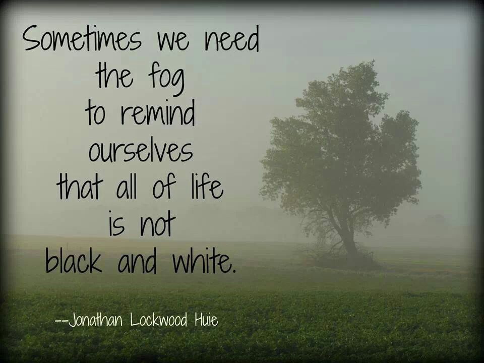 Happy Wednesday!  Make this grey, foggy, rainy day awesome.
#wednesday #wednesdayvibes #wednesdaymood #newfoundlandandlabrador #rainy #foggy