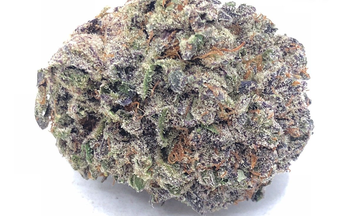 Jurassic Purp, also known as “Jurassic Purple,” is a slightly indica dominant hybrid strain (60% indica/40% sativa) created through crossing the potent Cherry Pie X (Big Sur Holy Weed X Lil Purp) strains. #CouponCODE: 🌱 CBDHERB 🌱 soloherbs.com #cannabiscanada