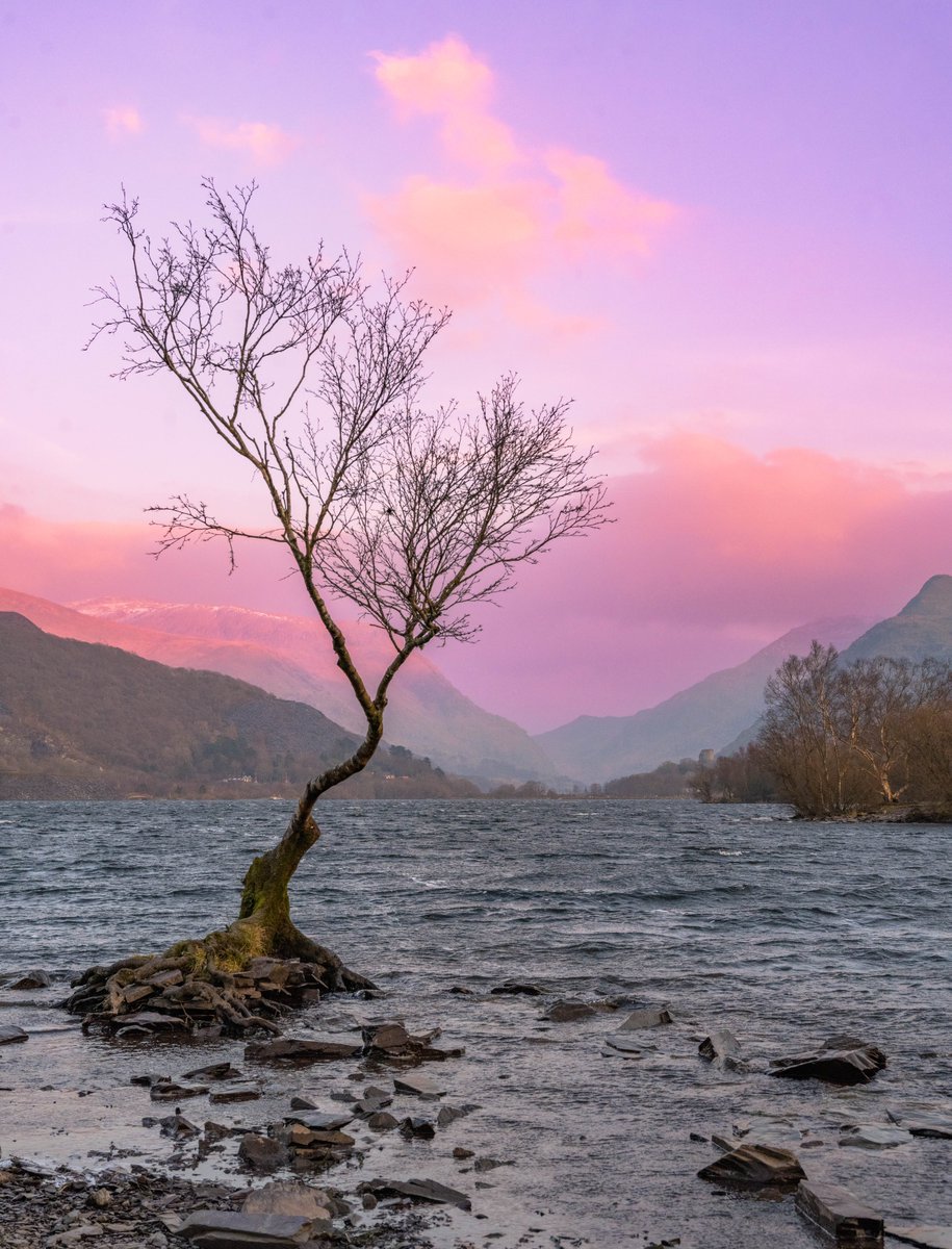 📍 The Lonely Tree, Padarn Lake, Llanberis

Have you seen the lonely tree?

📸 Incredible photo captured by #imagesiwithadam (via Instagram)

#LlynPadarn #Llanberis #Eryri #CroesoCymru #HarddwchEryri #VisitEryri