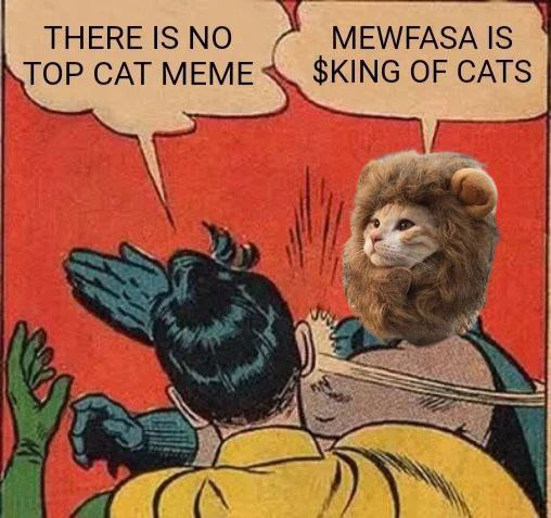 Mewfasa, The Lion Cat King (@mewfasasol) on Twitter photo 