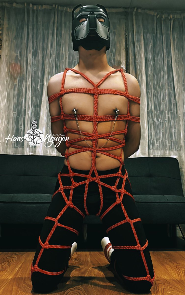 hansnguyensm's tweet photo. #BossHans
Bắt được một bé slave dog nè🤭
@MeoHuy2, Welcome to my dark world🪢
#slave #bondage https://t.co/d5HOVdxEWf
