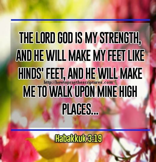 The Lord God is my strength, and He will make my feet like hinds' feet, and He will make me to walk upon mine high places. Habakkuk 3:19