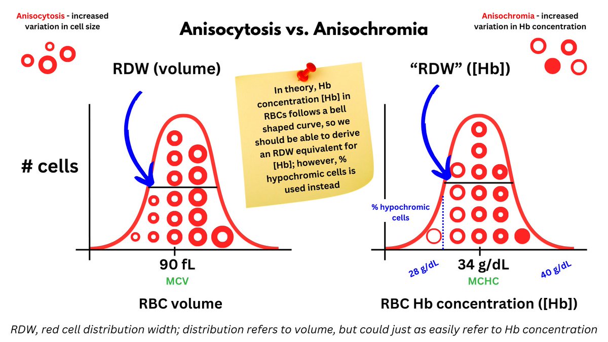 1/7

ANISOCHROMIA

We are used to considering variation in RBC size (increased variation = anisocytosis) by examining a blood smear or evaluating the RDW. 

What about variation in RBC Hb concentration ([Hb]) (anisochromia)?