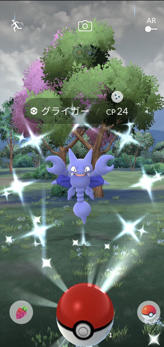 バックが華やか✨
✨きらりん✨グライガー✨✨✨
#PokemonGO
#ポケモンGO色違い