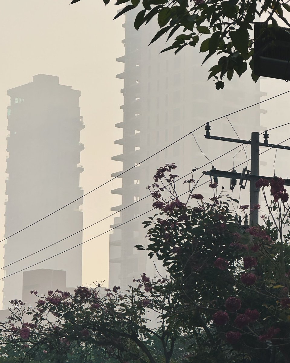 Barranquilla envuelta en humo a esta hora. Y el Ministerio de Medio Ambiente nos manda saludos. La isla Salamanca arde. 😔 @minambientecol @gustavopetrourrego