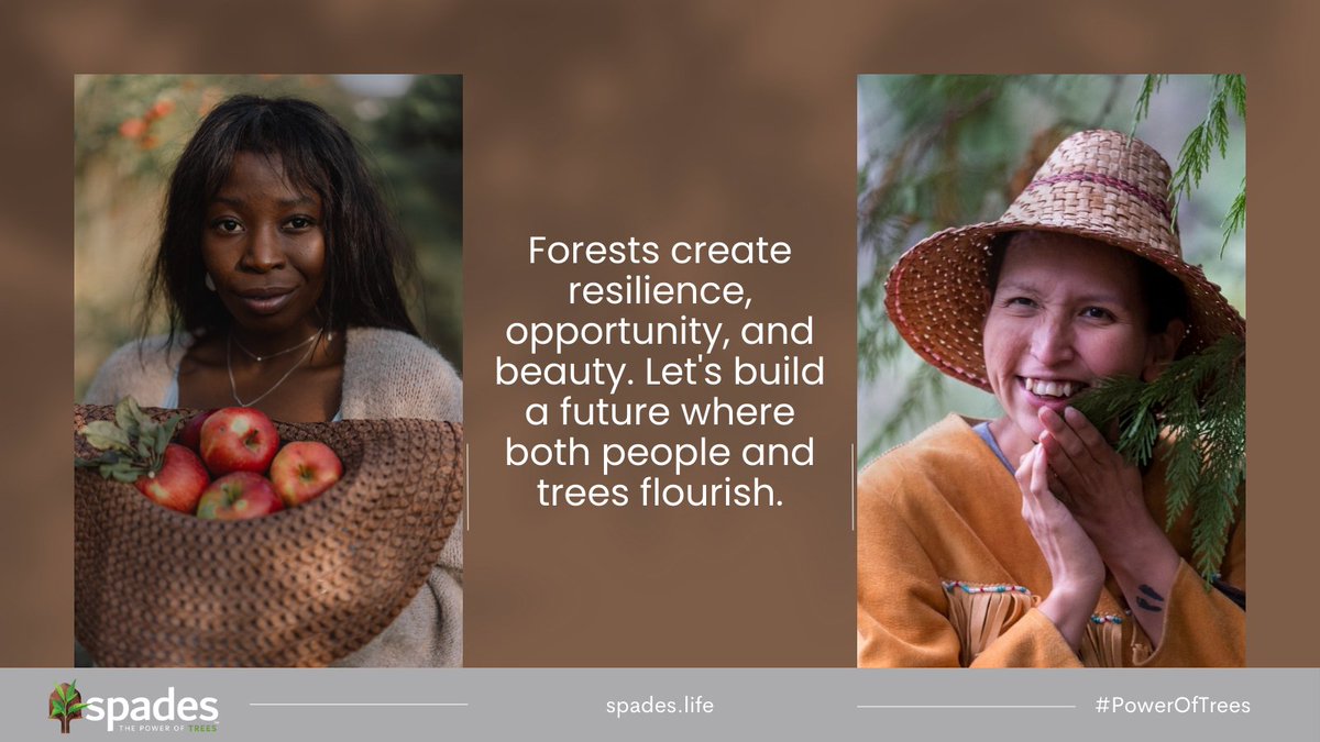 Forests embody resilience, opportunity, and beauty. We can build a future where both thrive. Learn more at spades.life #Forests #PowerOfTrees #NatureBasedSolutions