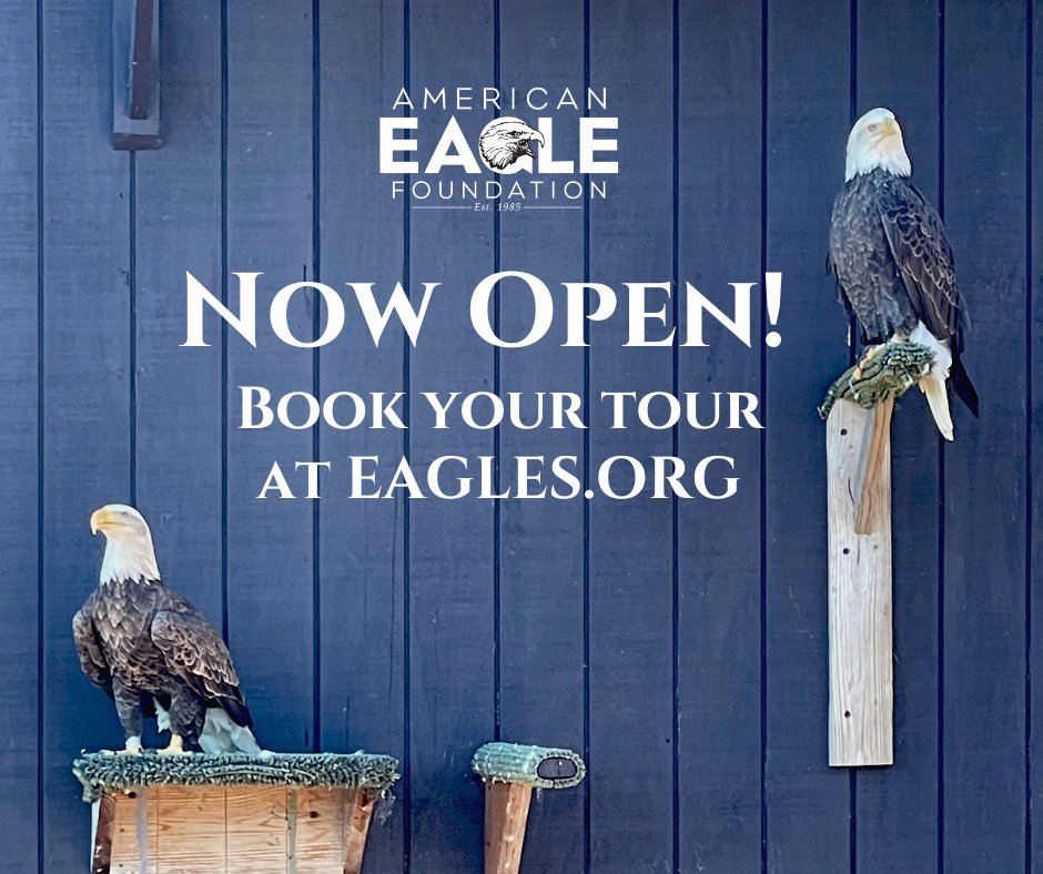 Come meet Mrs. Jefferson and Isiah in person when you BOOK YOUR TOUR and visit American Eagle Foundation's spacious new facility which allows us to connect with our community like never before.