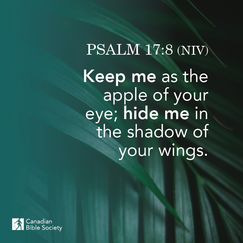 “Keep me as the apple of your eye; hide me in the shadow of your wings.”

PSALM 17:8 (NIV)

#bibleversedaily #bibleverses #bibleverseoftheday #versesfromthebible #biblestudy_verses #bibledailyverse #dailybiblereading #mydailybibleverse