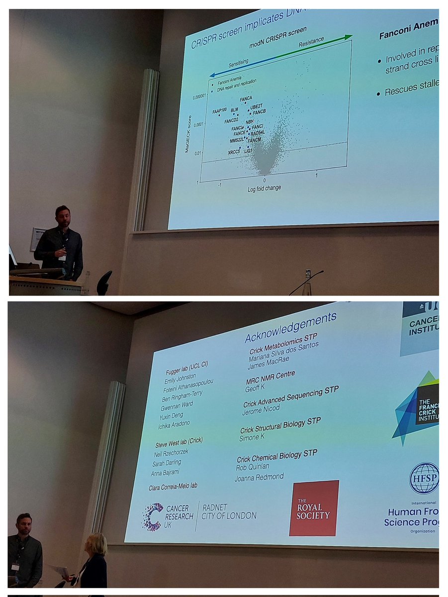 In his talk, @KasperFugger presented a model on how circulating modified nucleotides are detoxified in cells to safeguard genome stability @RadNetCRUKCoL @uclcancer @TheCrick