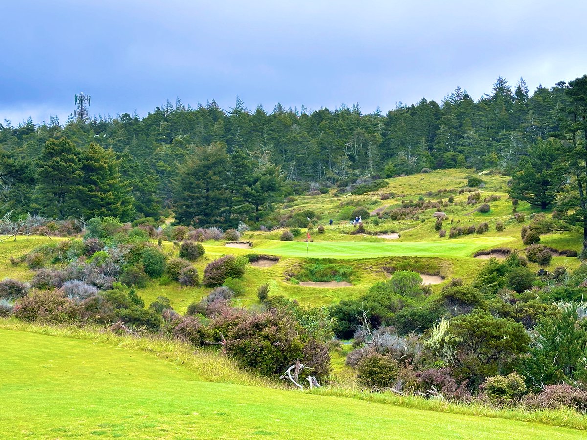 Bandon Trails - #65/Top 100
2005 - Coore & Crenshaw 

Would golfers want to travel to the coast and play an inland course? 

The answer would be a resounding yes! Coore & Crenshaw built a masterpiece, with bold design and a perfect routing. 

With shades of heathland and sandbelt…