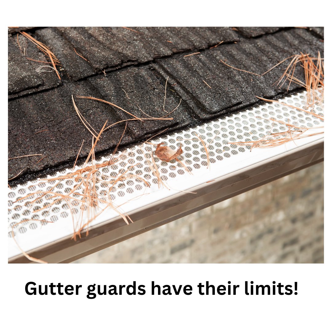 Even with gutter guards, you may still need to clear debris.  Have your gutters inspected and cleaned by the experts at #enhancepowerwashing ~ bit.ly/EPWgutterclean…
#enhancepowerwashing #powerwash #softwash #pressurewash #guttercleaning #keepitclean #markofaprofessional