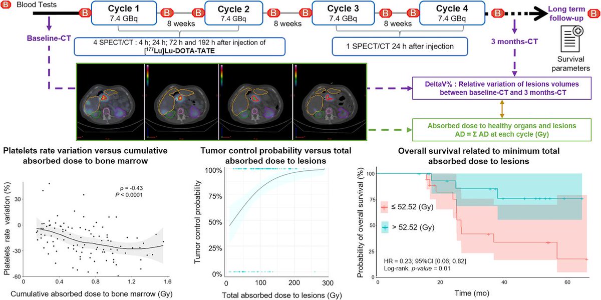 In patients treated with ¹⁷⁷Lu-DOTATATE for GEP-NETs, tumor and healthy organ dosimetry can predict survival and toxicities, influencing clinical management. ow.ly/YH2j50RmkUc #NuclearMedicine #RPTherapy #NeuroendocrineTumors