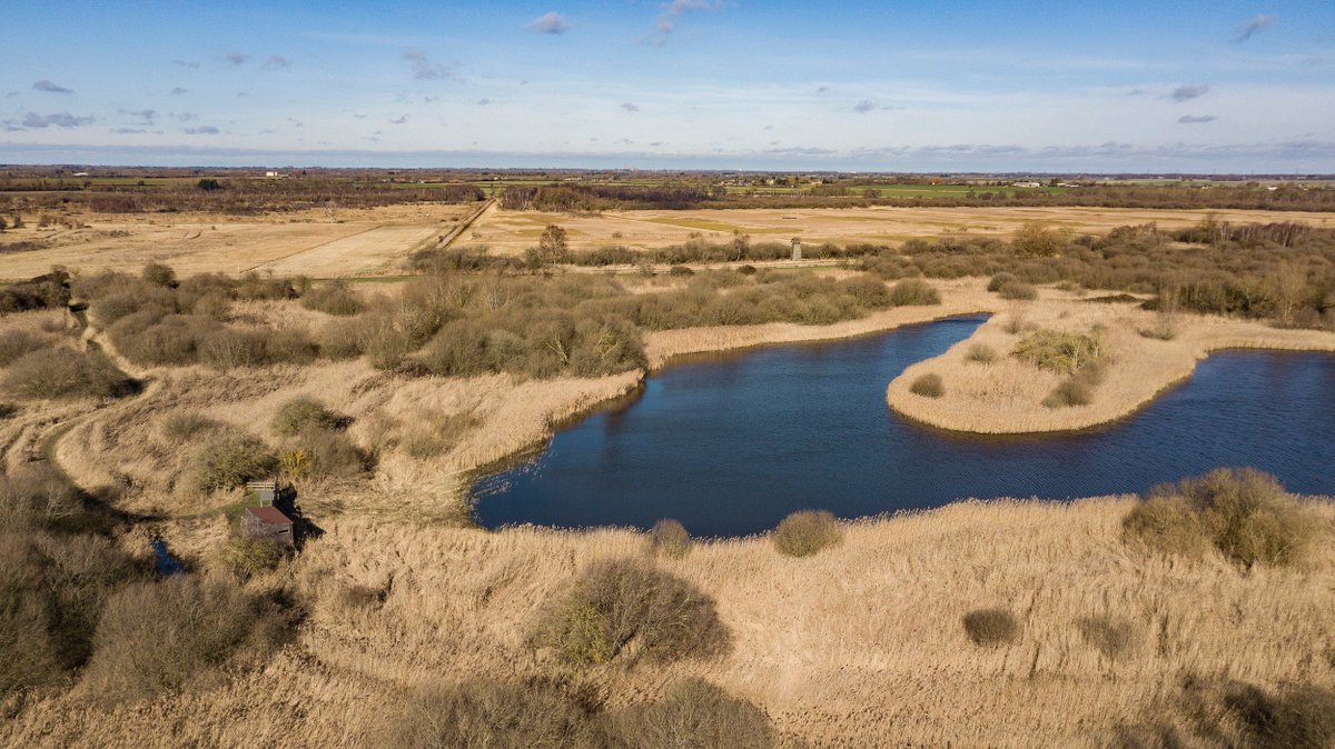 To mark @WickenFenNT 125th anniversary we've announced a £1.8m peatland restoration plan, thanks to @NaturalEngland @StarlingBank @AnglianWater generous legacies and other fundraising. Full story at bit.ly/Wicken-Fen-125 📷Justin Minns, Simon Stirrup, Paul Harris, Rob Coleman