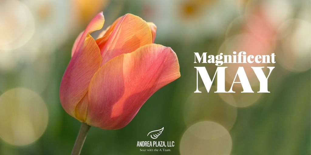 ATeamSoars's tweet image. May fills us with the belief that anything is possible.
#HappyMay #AndreaPlazaLLC #ATeamPR
