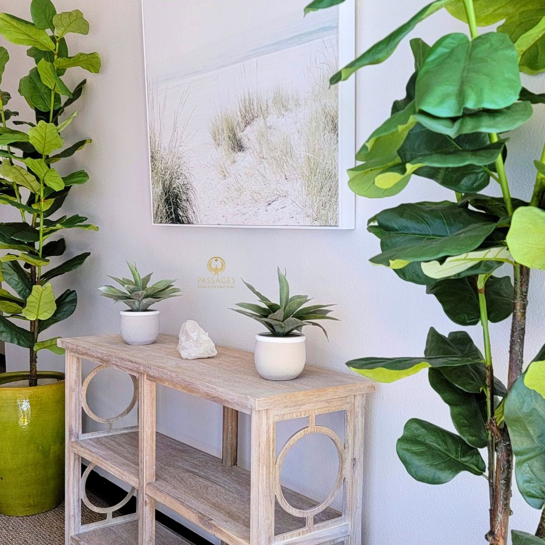 PassagesVentura's tweet image. Begin anew at Passages Ventura with 25 hours of one-on-one therapy per month. Call us today at (866) 361-5809. #AddictionRehab #Non12Step
