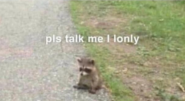 ˢᵉˡᶠ 𝕽𝐈𝐆𝐇𝐓𝐄𝐎𝐔𝐒𝐍𝐄𝐒𝐒. tweet media