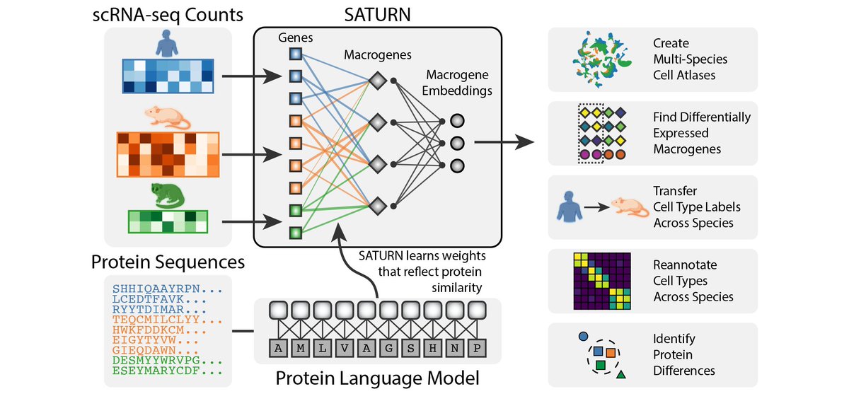 Pranam Chatterjee tweet media