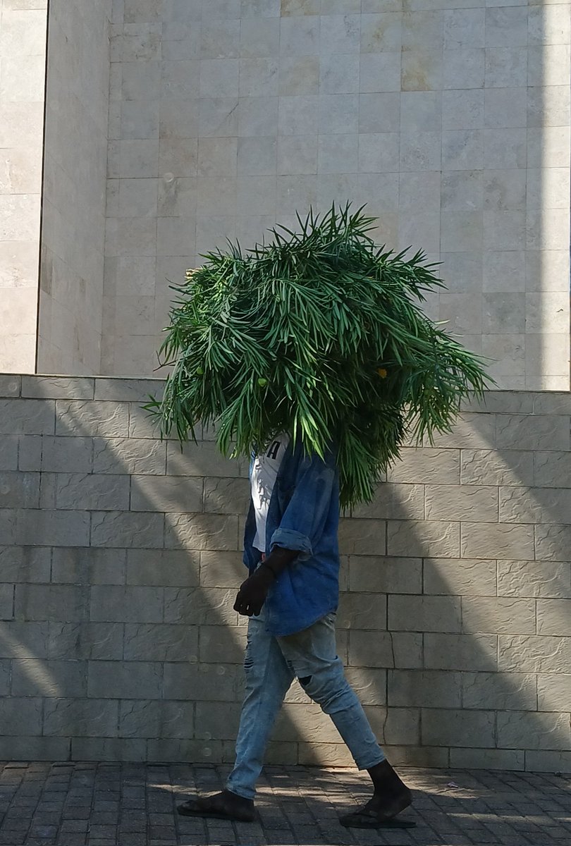 Acjpucho's tweet photo. May Day
#photograghy #photooftheday #photo #PHOTOS #street #streetphotography #photographylovers #photorealism #PhotographyIsArt #Maputo https://t.co/CyDu3xvQu5
