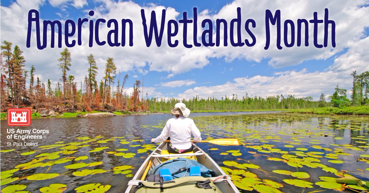 It’s American Wetlands Month, a time to honor the importance of our wetlands, and our work to protect this important resource. More: ow.ly/rsrN50QmrhS #BuildingStrong #USACEMVD